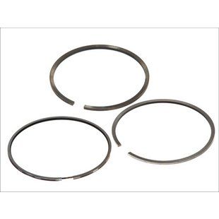 Кольца поршневые DAF 95 1160 WS225/259/282/295 (800005010000)(Д5364)