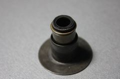 Колпачек маслосъемный RVI (5200533510)(д1723)