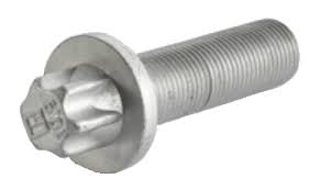 Болт крепления суппорта M 16 x 1,5 x 55 (ROTOS) (602009) (пр9750)