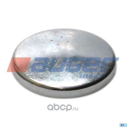 Крышка шкворня MAN TGA (60082) (р6924)