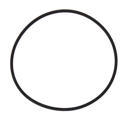 Кольцо гильзы БЦ уплотнительное d2066 MAN (152230)(р1544)