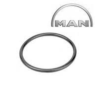 Кольцо уплотнительное MAN (06569390079) (Р8498)