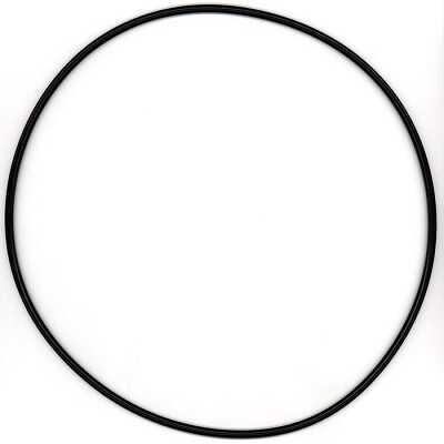 Кольцо уплотнительное бортового редуктора 255,0x5,0мм (315621) (Р9206)