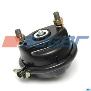 Тормозная камера дисковая тип 20 Trailer Schmitz Cargobull,BPW,SAF (09401301) (Т9935)