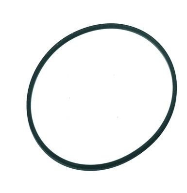 Кольцо плунжера ТНВД нижнее DAF (F00HN36345)(Р1036)