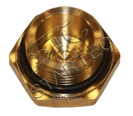 Заглушка М22х1,5 c уплотн. (INF11M22)(ПН0830)