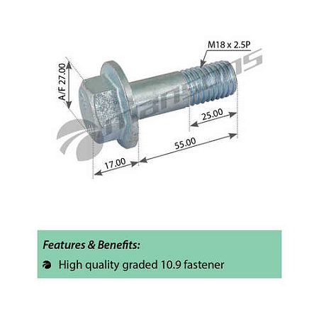 Болт крепления суппорта M18x2x55 SW27\ DAF (200341) (пр2567)