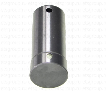 Палец опорный КПП сателлита планет.передачи  ZF 16S181/221 M (95534252)(П5061)