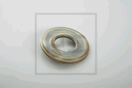 Шайба пальца рессоры передней подвески DAF (10401900)(П0852)