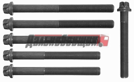 Комплект болтов ГБЦ MAN D2540/55/65/66 MB OM400 (020121286609)(Р1986)