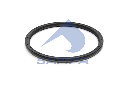 Сальник ступицы MAN MB 160x180x10 БНК (022419)(п9492)