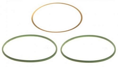 Уплотнительные кольца (прокладки гильзы)MB OM541 (722480) (д5023)