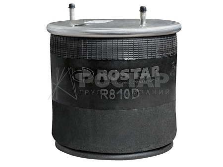 Пневморессора Rostar SAF 2919V(пластик. стакан)(R810DGL02)(П9490)