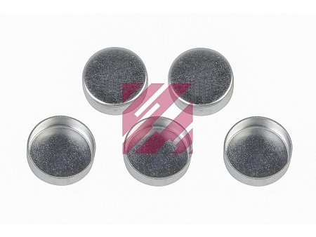 Заглушки скобы дискового тормоза SB/SN (M2910128)(Т2107)