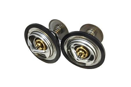 Термостат Газ-24 ММЗ 80°С к-т 2шт. + прокладка / Прамо (ТС107-1306100-01М2+1)(КД1059)