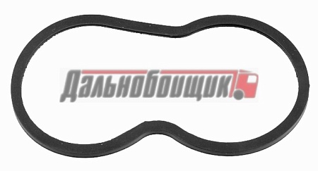 Прокладка термостата Scania 4 TI02 (124114)(д0592)