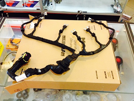 Жгут проводки MAN (51254136417)(Эл2299)