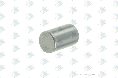 Ролик(игла) 10*16.8 шестерни планет.передачи ZF (95570722)(П5050)